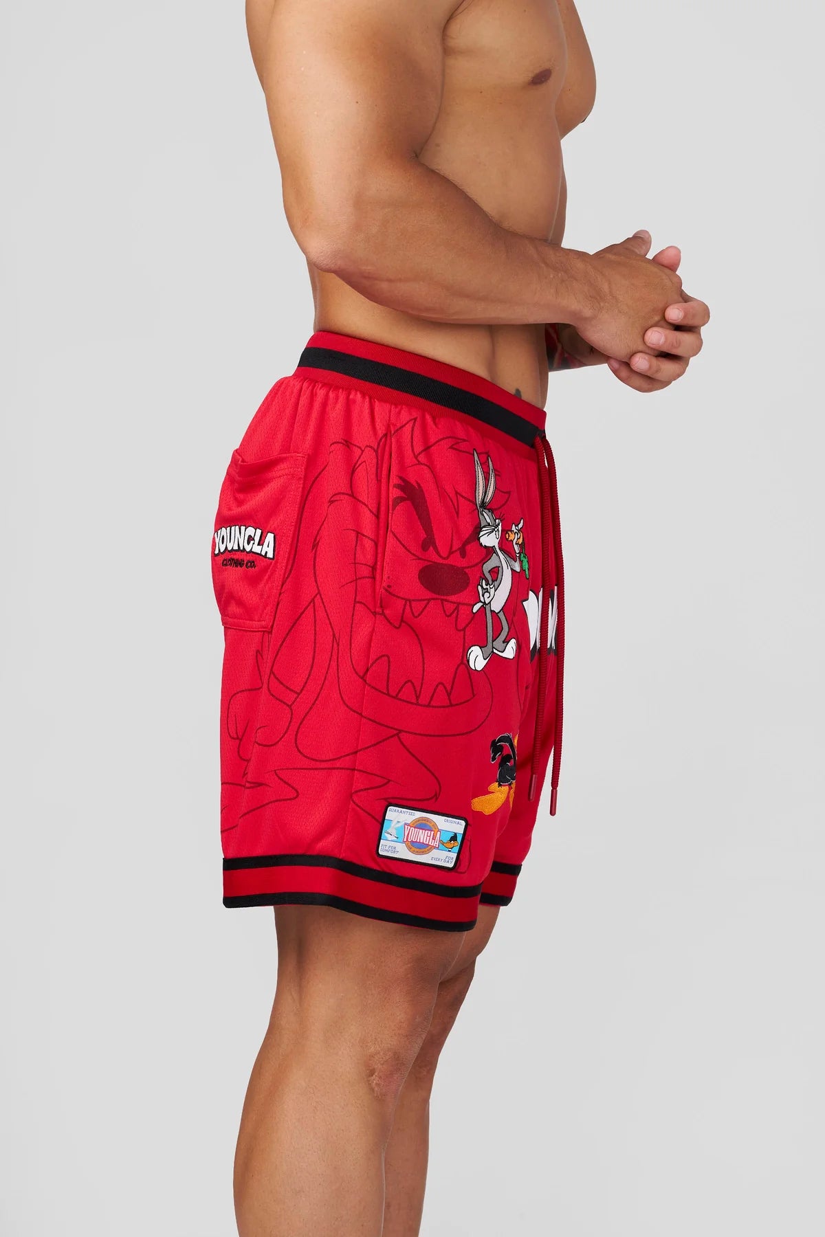 1071 - Looney Tunes Embroidered Patch Short