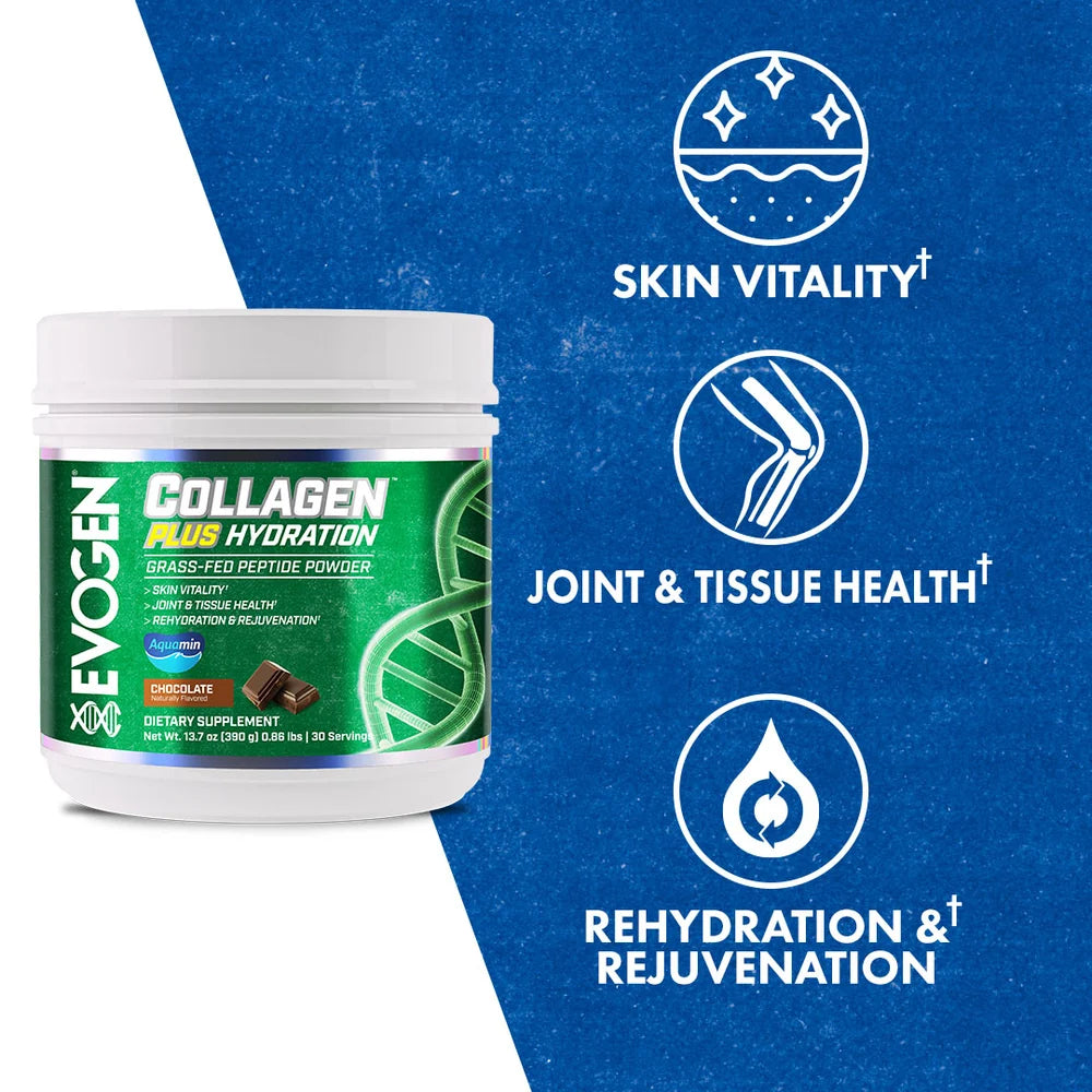 Collagen Plus Chocolate